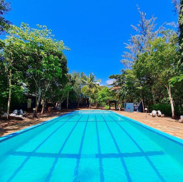 Kijani Cottages Diani Diani Beach Exteriér fotografie