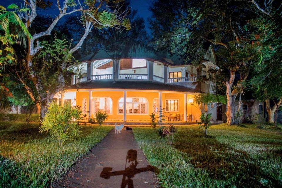 Kijani Cottages Diani Diani Beach Exteriér fotografie